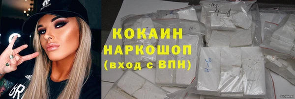 шишки Абинск