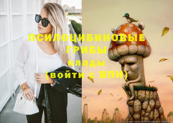mix Алексин