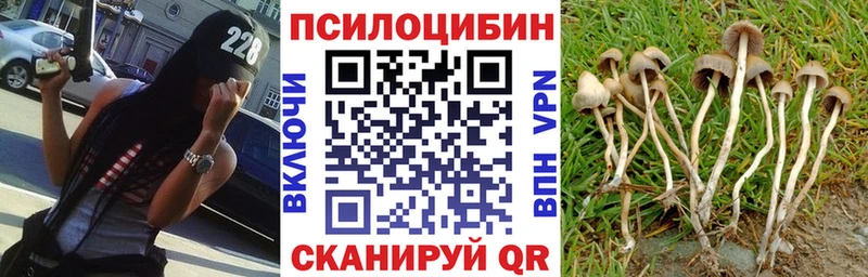 Галлюциногенные грибы прущие грибы  наркотики  Зерноград 